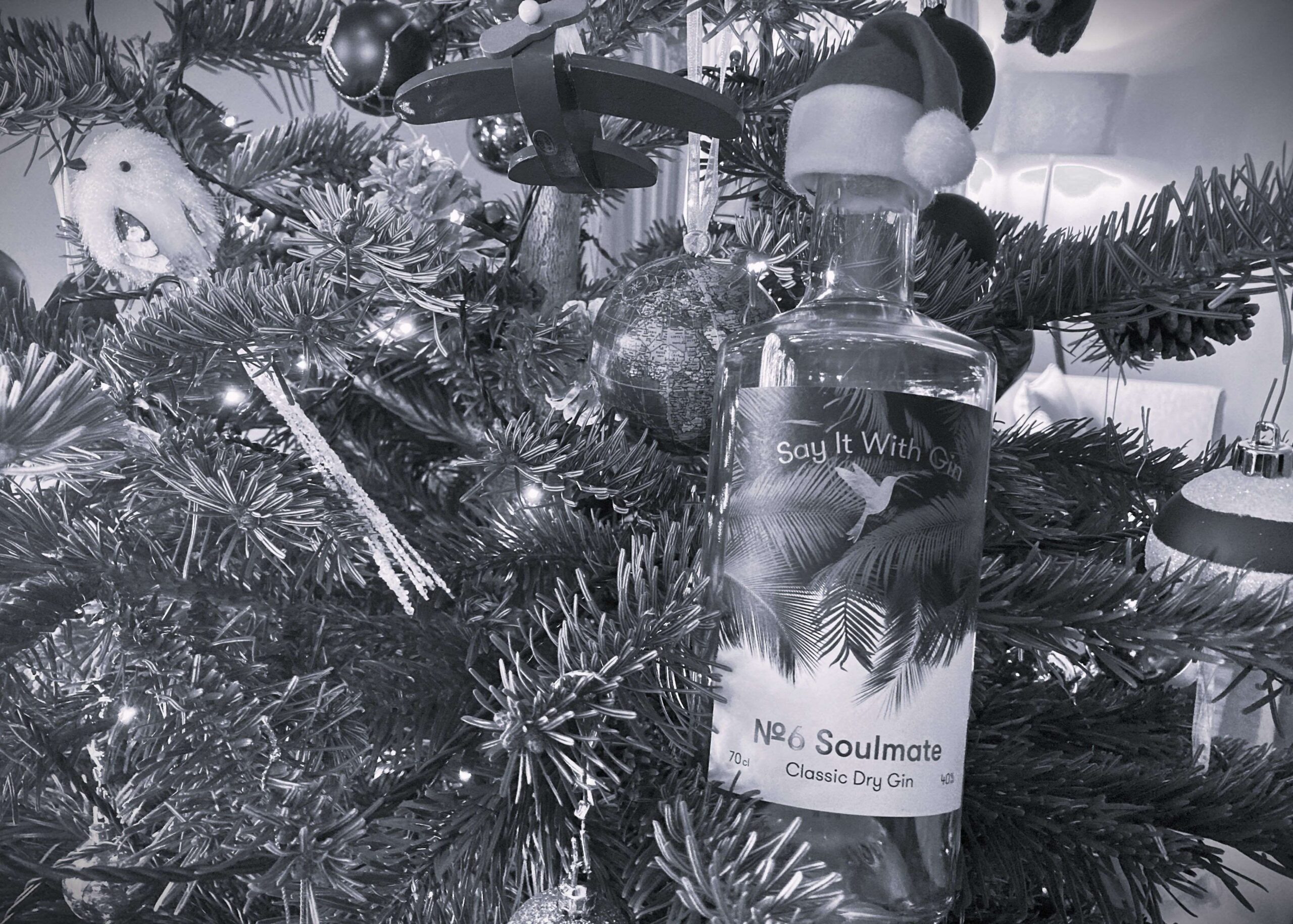 Stylish bottle of premium gin, highlighting its elegant design and rich flavors – Say it with Gin