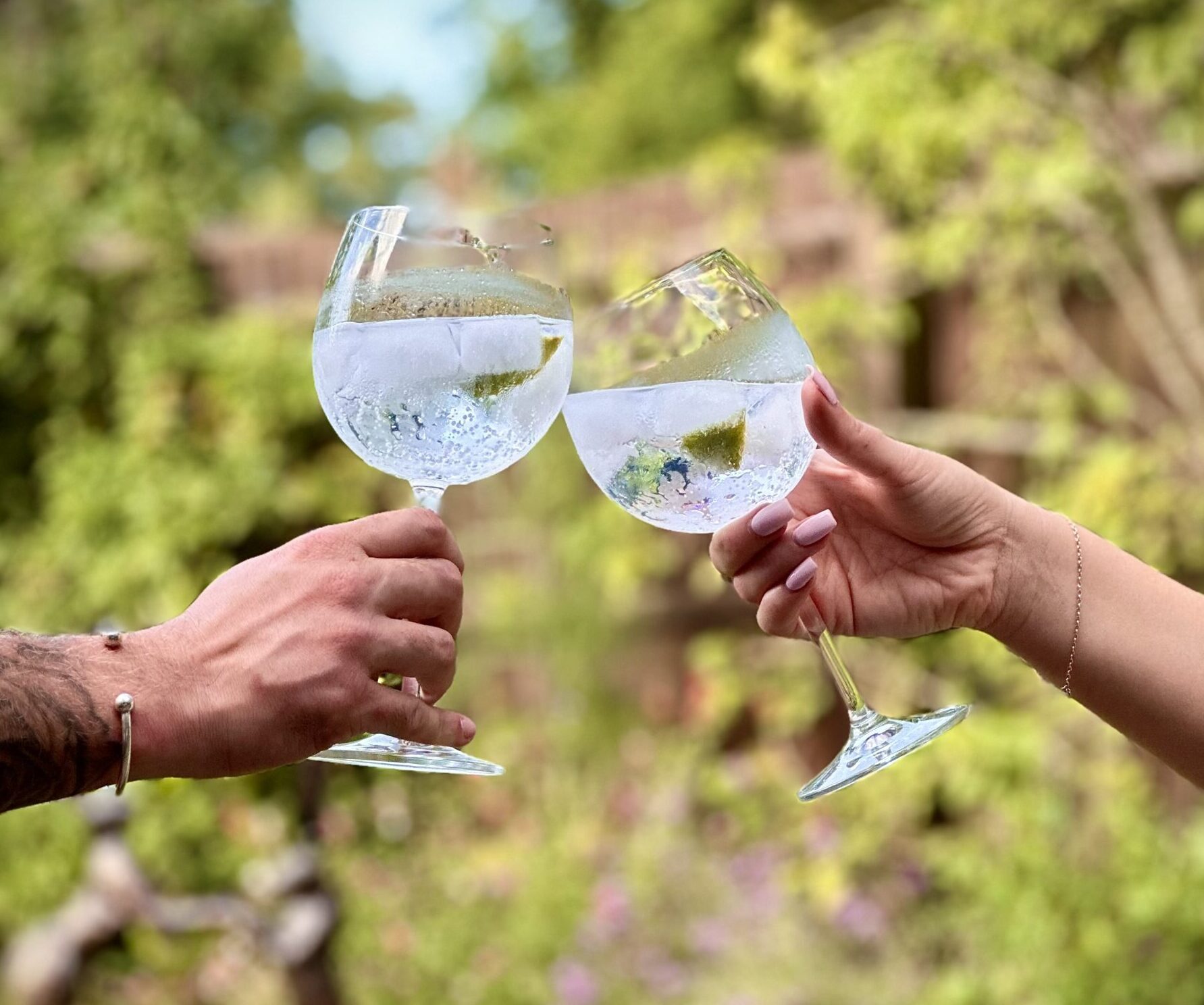 Cheers with two gin glasses clinking together, celebrating friendship and the joy of premium gin – Say it with Gin.